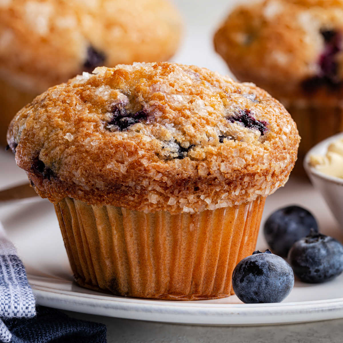 Blueberry Muffins